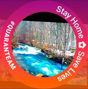 Meet your Posher, Carol